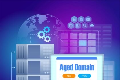 Apa itu Pengertian Aged Domain
